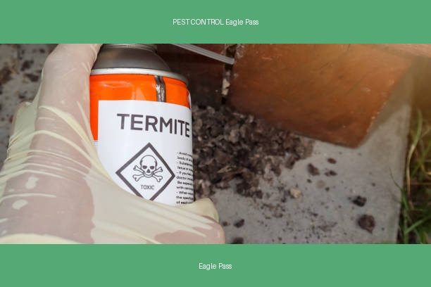 PEST CONTROL Eagle Pass